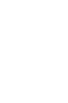 Evol sistema remoto 1