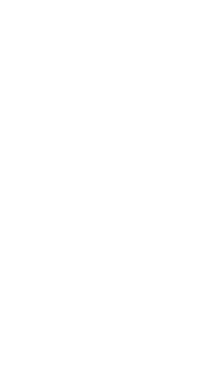 evol mobile
